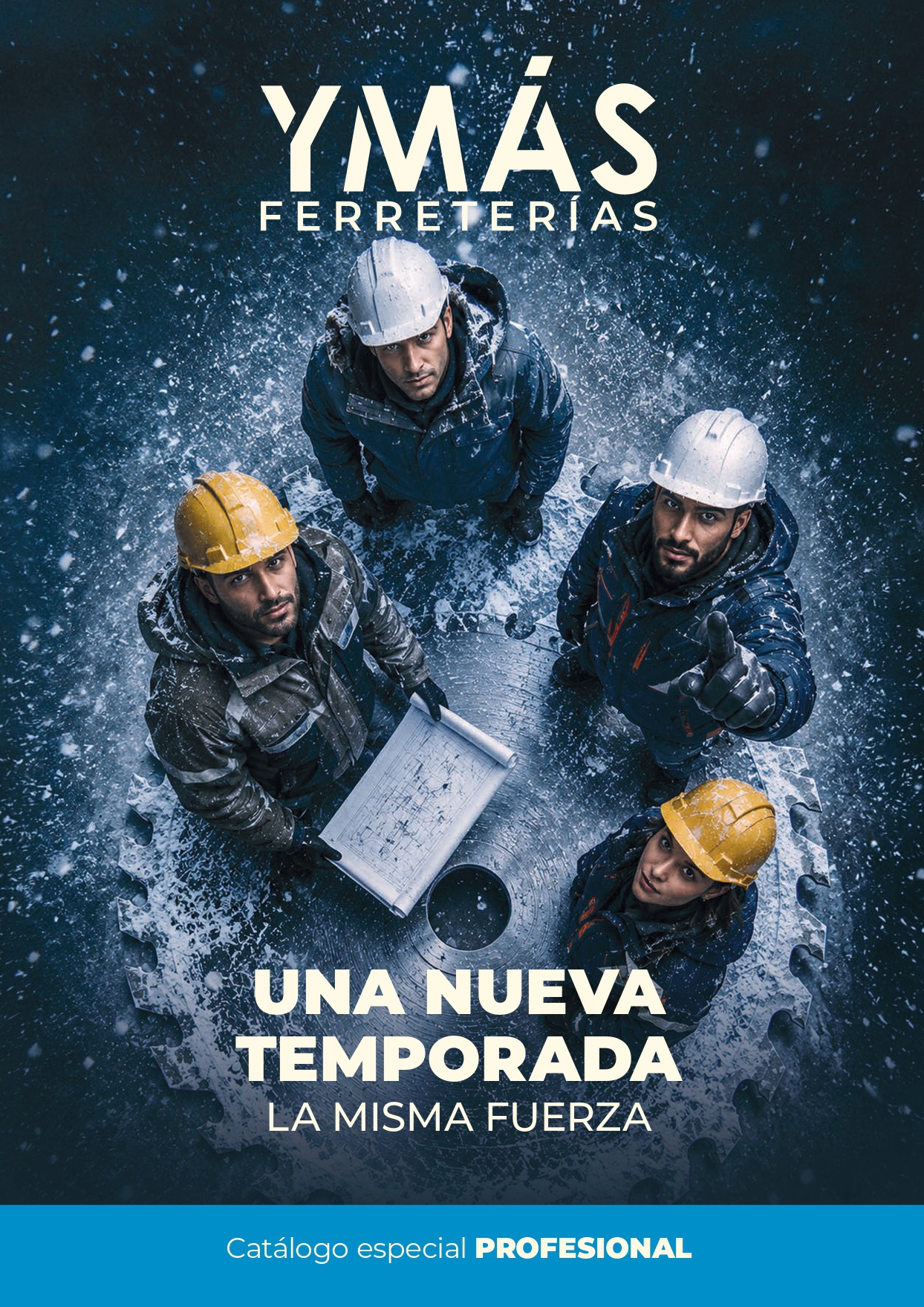 FOLLETO PROFESIONAL II 2026